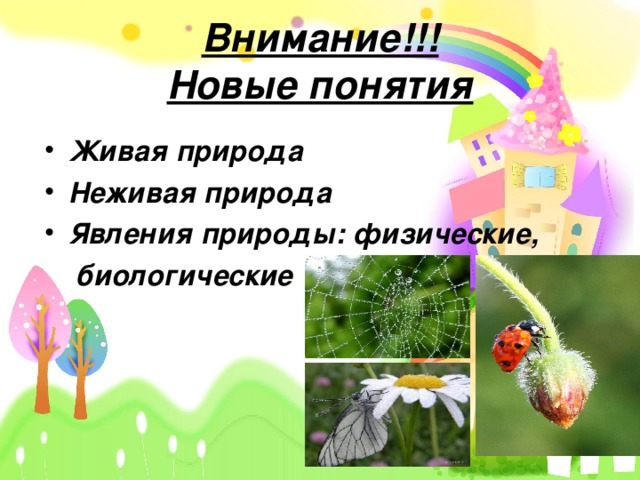 Внимание!!!  Новые понятия Живая природа Неживая природа Явления природы: физические,  биологические  