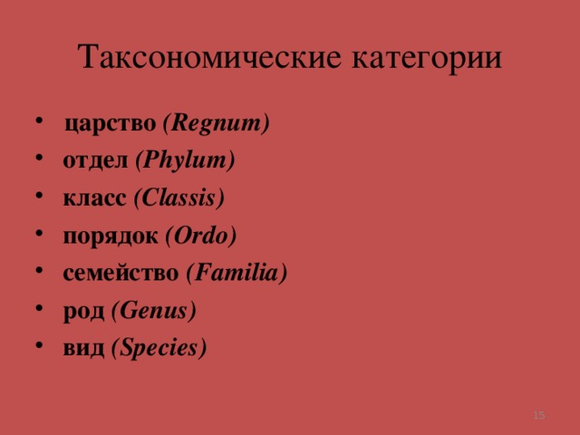 Таксономические категории  царство ( Regnum )  отдел ( Phylum )  класс ( Classis )  порядок ( Ordo )  семейство ( Familia )  род ( Genus )  вид ( Species )  