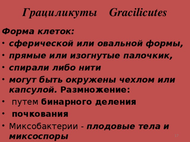 Грациликуты Gracilicutes Форма клеток: сферической или овальной формы, прямые или изогнутые палочкик, спирали либо нити могут быть окружены чехлом или капсулой.  Размножение:  путем бинарного деления  почкования Миксобактерии - плодовые тела и миксоспоры  