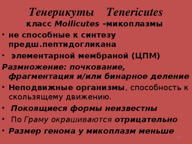 Тенерикуты Tenericutes класс Мо llicutes –микоплазмы не способные к синтезу предш.пептидогликана  элементарной мембраной (ЦПМ) Размножение: почкование, фрагментация и/или бинарное деление  Неподвижные организмы , способность к скользящему движению.  Покоящиеся формы неизвестны  По Граму окрашиваются отрицательно Размер генома у микоплазм меньше  