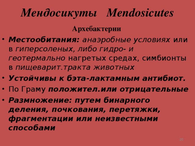 Мендосикуты Mendosicutes Архебактерии Местообитания: анаэробные условиях или в гиперсоленых, либо гидро- и геотермально нагретых средах, симбионты в пищеварит.тракта животных Устойчивы к бэта-лактамным антибиот. По Граму положител.или отрицательные Размножение: путем бинарного деления, почкования, перетяжки, фрагментации или неизвестными способами  