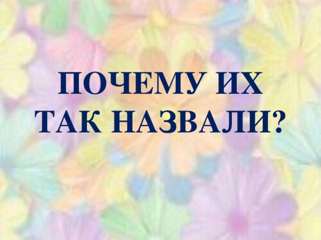 Почему так назвали. Почему меня так назвали. Проект почему их так называют. Почему их так назвали. Почему почему так назвали.