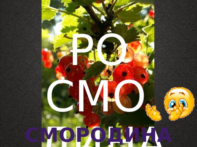 РО СМО  ДИНА Смородина 