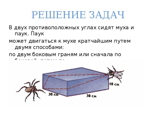 Как ходит паук схема