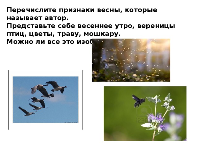 Перечислите признаки весны, которые называет автор. Представьте себе весеннее утро, вереницы птиц, цветы, траву, мошкару. Можно ли все это изобразить на картине? 
