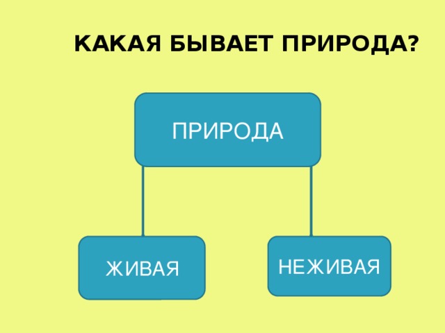 КАКАЯ БЫВАЕТ ПРИРОДА? ПРИРОДА ЖИВАЯ НЕЖИВАЯ 