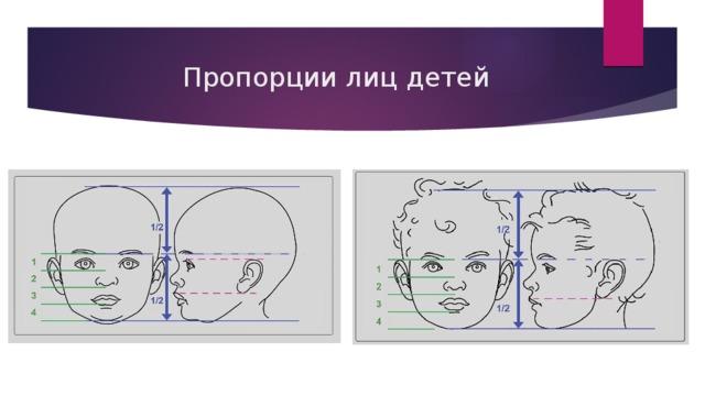 Пропорции ребенка. Пропорции лица ребенка. Пропорции головы ребенка. Пропорции лица человека взрослого и ребенка. Пропорции лица ребенка в зависимости от возраста.