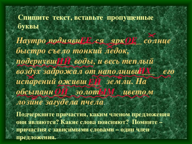 Схема предложения зазеленела травка надулись почки калины и липкой березы загудели пчелы