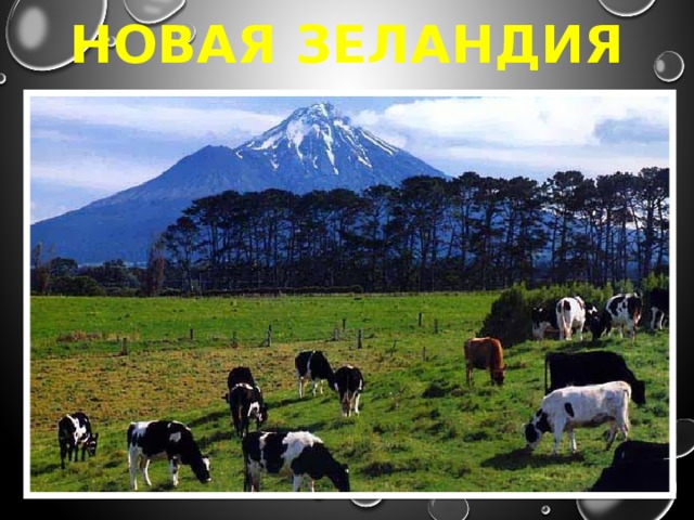 НОВАЯ ЗЕЛАНДИЯ 