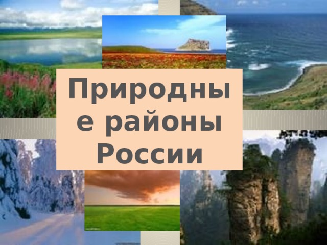 Природные районы россии 8 класс география презентация