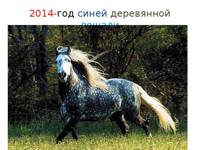 2014- год синей деревянной лошади 