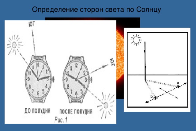 Как определить стороны света