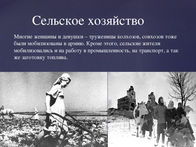 Многие женщины и девушки – труженицы колхозов, совхозов тоже были мобилизованы в армию. Кроме этого, сельские жители мобилизовались и на работу в промышленность, на транспорт, а так же заготовку топлива.  Сельское хозяйство 