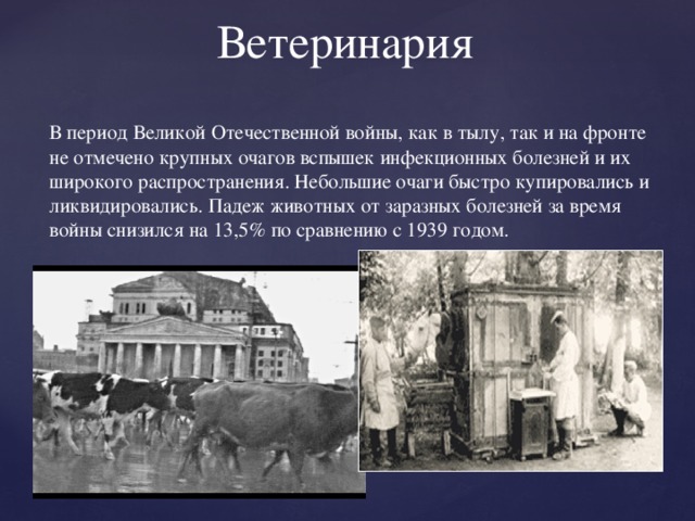 Ветеринария В период Великой Отечественной войны, как в тылу, так и на фронте не отмечено крупных очагов вспышек инфекционных болезней и их широкого распространения. Небольшие очаги быстро купировались и ликвидировались. Падеж животных от заразных болезней за время войны снизился на 13,5% по сравнению с 1939 годом. 