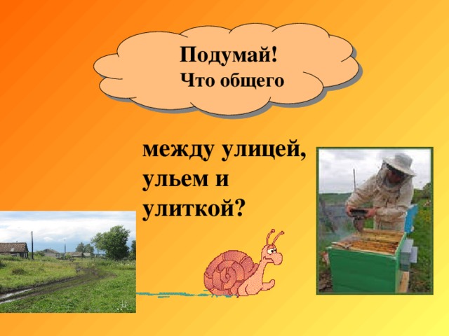  Что общего  между улицей,  ульем и  улиткой? 