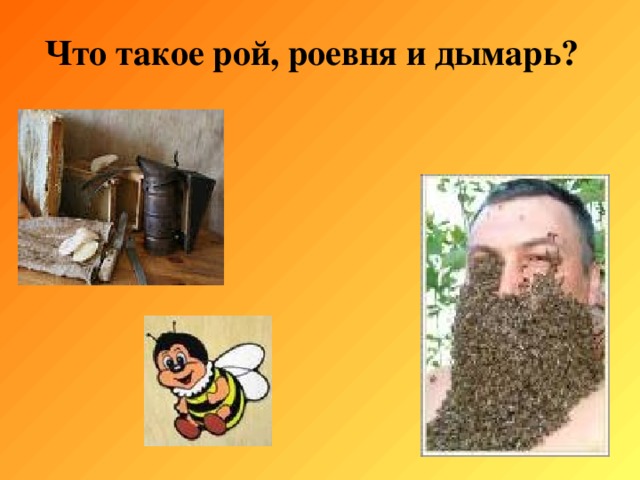 Что такое рой, роевня и дымарь? 