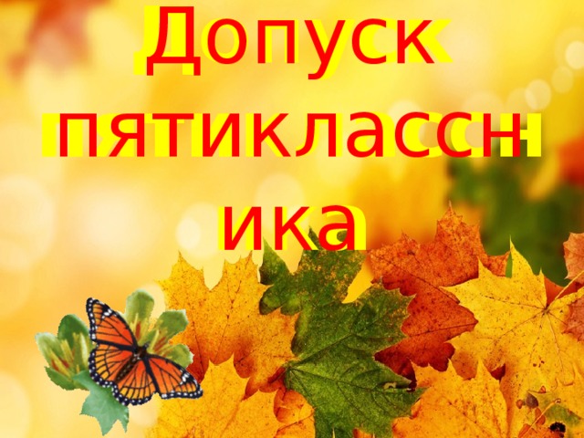 Допуск пятиклассника Допуск пятиклассника 
