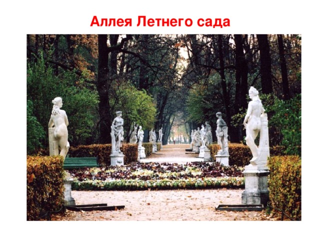Аллея Летнего сада 