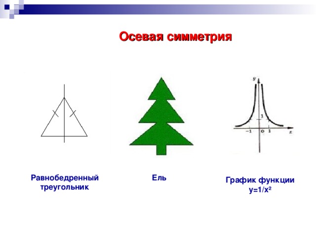 Осевая симметрия Равнобедренный треугольник Ель График функции y=1/x ² 