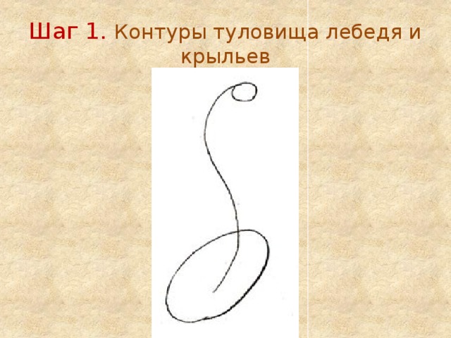 Шаг 1. Контуры туловища лебедя и крыльев 