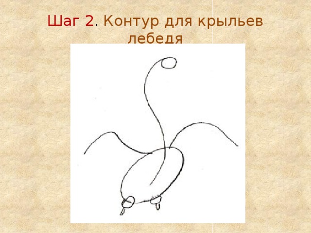 Шаг 2 . Контур для крыльев лебедя 