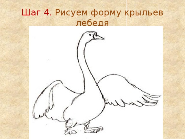 Шаг 4. Рисуем форму крыльев лебедя 