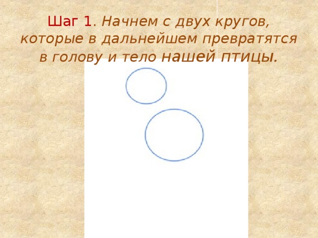 Шаг 1 . Начнем с двух кругов, которые в дальнейшем превратятся в голову и тело нашей птицы. 