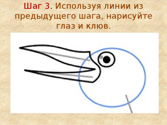Шаг 3 . Используя линии из предыдущего шага, нарисуйте глаз и клюв. 