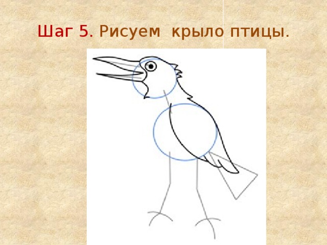 Шаг 5. Рисуем крыло птицы. 