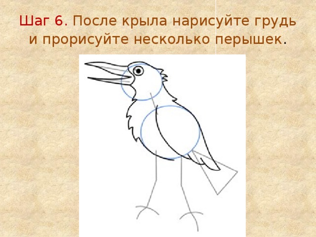 Шаг 6. После крыла нарисуйте грудь и прорисуйте несколько перышек . 