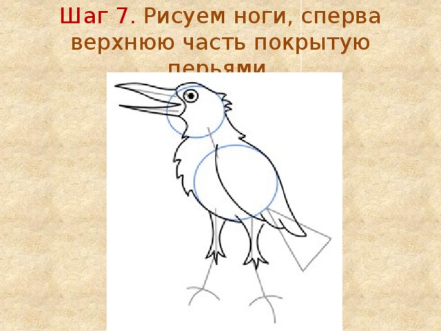 Шаг 7. Рисуем ноги, сперва верхнюю часть покрытую перьями. 