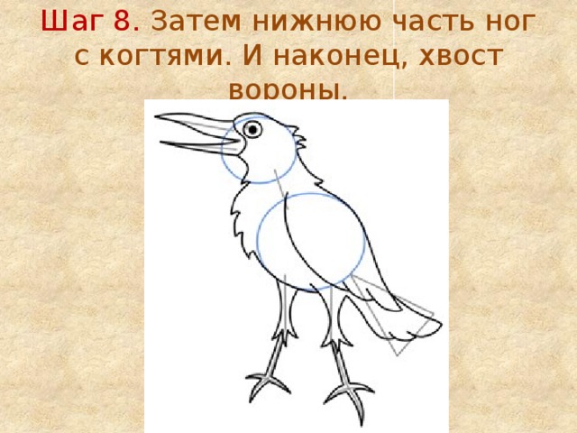 Шаг 8. Затем нижнюю часть ног с когтями. И наконец, хвост вороны. 