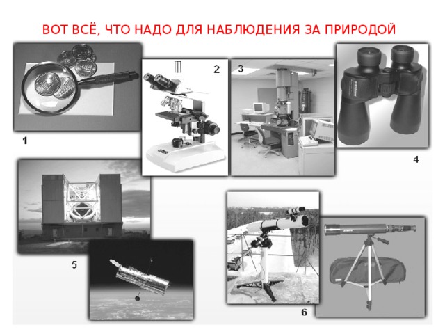  ВОТ ВСЁ, ЧТО НАДО ДЛЯ НАБЛЮДЕНИЯ ЗА ПРИРОДОЙ 