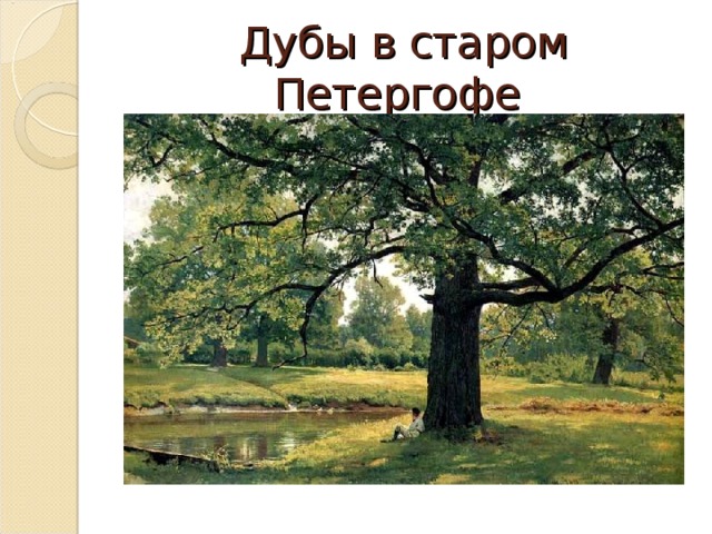 Дубы в старом Петергофе 