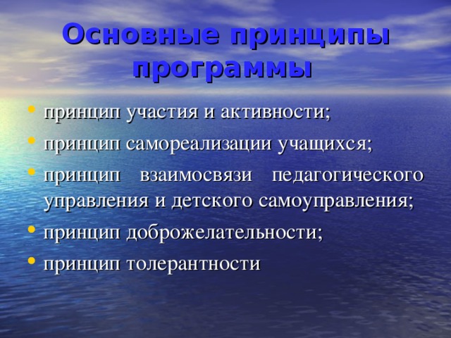 Основные принципы программы  принцип участия и активности; принцип самореализации учащихся; принцип взаимосвязи педагогического управления и детского самоуправления; принцип доброжелательности; принцип толерантности 