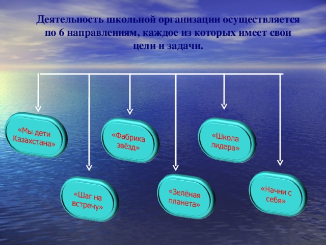 Деятельность школьной организации осуществляется по 6 направлениям, каждое из которых имеет свои цели и задачи. 