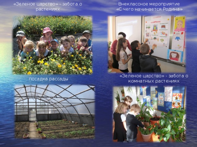 «Зеленое царство» - забота о растениях Внеклассное мероприятие «С чего начинается Родина» «Зеленое царство» - забота о комнатных растениях посадка рассады 