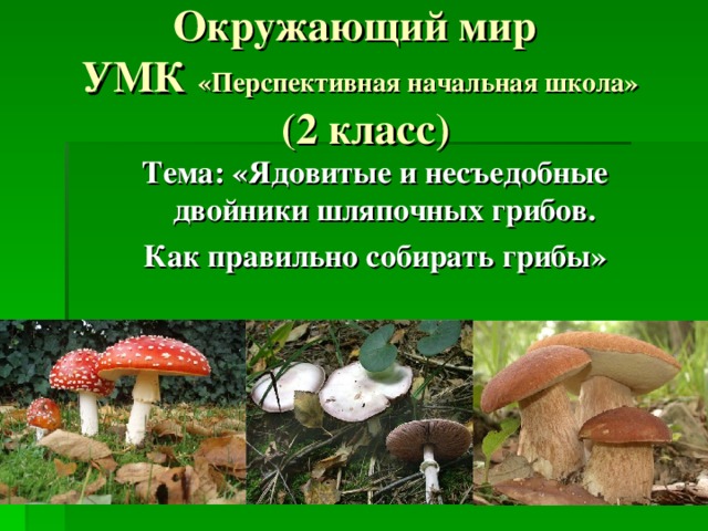 3 класс окружающий мир проект шляпочные грибы Презентация для начальных классов по теме "Ядовитые и несъедобные двойники шляпо