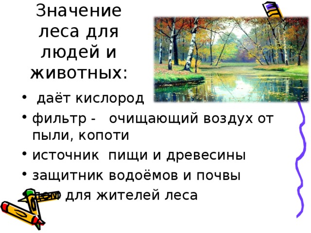 Что означает лес. Польза леса для человека. Значение леса для животных. Польза леса в жизни человека. Значение лесов для человека.