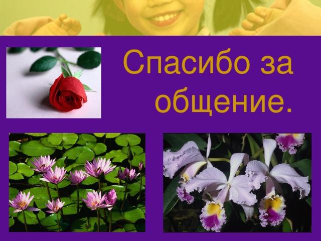 Спасибо за общение. 