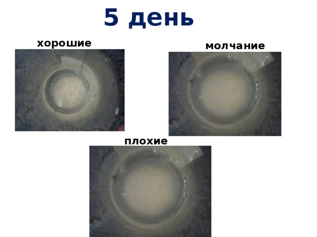 5 день хорошие молчание плохие 