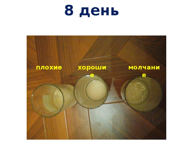  8 день хорошие молчание плохие 