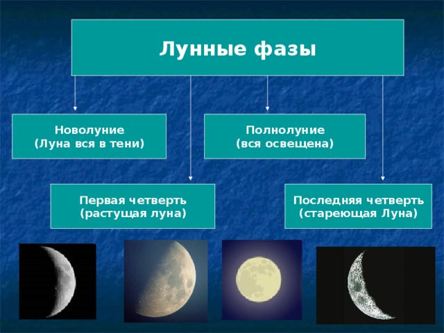 Лунные фазы Новолуние (Луна вся в тени) Полнолуние (вся освещена) Первая четверть (растущая луна) Последняя четверть (стареющая Луна) 