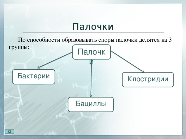 Группа палочка. Палочки бактерии делятся. По способности образовывать споры. На какие группы делятся палочки. Способность образовывать спору имеют:.