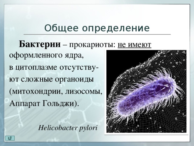 Дыхание прокариот. Определение понятия бактерии. Бактерии определение биология. Бактерии определение 5 класс. Бациллы это определение.