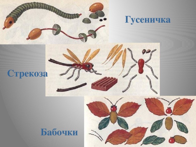 Гусеничка Стрекоза Бабочки 