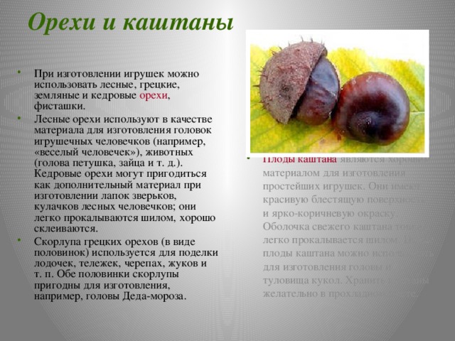 Орехи и каштаны При изготовлении игрушек можно использовать лесные, грецкие, земляные и кедровые орехи , фисташки. Лесные орехи используют в качестве материала для изготовления головок игрушечных человечков (например, «веселый человечек»), животных (голова петушка, зайца и т. д.). Кедровые орехи могут пригодиться как дополнительный материал при изготовлении лапок зверьков, кулачков лесных человечков; они легко прокалываются шилом, хорошо склеиваются. Скорлупа грецких орехов (в виде половинок) используется для поделки лодочек, тележек, черепах, жуков и т. п. Обе половинки скорлупы пригодны для изготовления, например, головы Деда-мороза. Плоды каштана являются хорошим материалом для изготовления простейших игрушек. Они имеют красивую блестящую поверхность и ярко-коричневую окраску. Оболочка свежего каштана тонкая, легко прокалывается шилом. Целые плоды каштана можно использовать для изготовления головы и туловища кукол. Хранить каштаны желательно в прохладном месте. 