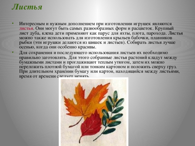 Листья Интересным и нужным дополнением при изготовлении игрушек являются листья . Они могут быть самых разнообразных форм и расцветок. Крупный лист дуба, клена дети применяют как парус для яхты, плота, парохода. Листья можно также использовать для изготовления крыльев бабочки, плавников рыбки (эти игрушки делаются из шишек и листьев). Собирать листья лучше осенью, когда они особенно красивы. Для сохранения и последующего использования листьев их необходимо правильно заготовлять. Для этого собранные листья растений кладут между бумажными листами и проглаживают теплым утюгом, затем их можно переложить плотной бумагой или тонким картоном и положить сверху груз. При длительном хранении бумагу или картон, находящийся между листьями, время от времени следует менять. 