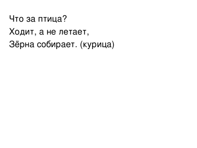 Что за птица? Ходит, а не летает, Зёрна собирает. (курица) 
