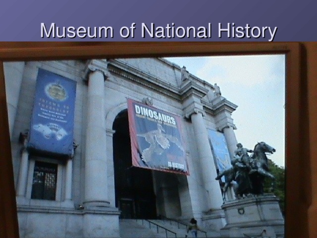 Museum of National History  